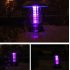 Garden Solar bug zapper & mosquito killer universal outdoor LED Lamp