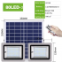Universal Powerful Solar Flood Light Double LED Head Remote Control