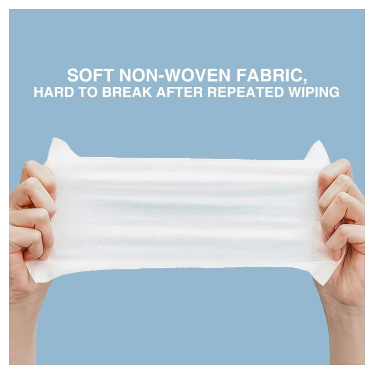 Free 75% Alcohol Hand Sanitizer Wipes Antibacterial Disposable Wet Wipes Pack