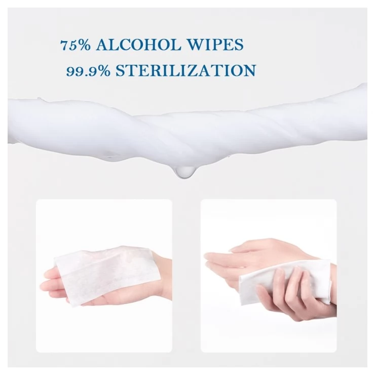 Free 75% Alcohol Hand Sanitizer Wipes Antibacterial Disposable Wet Wipes Pack