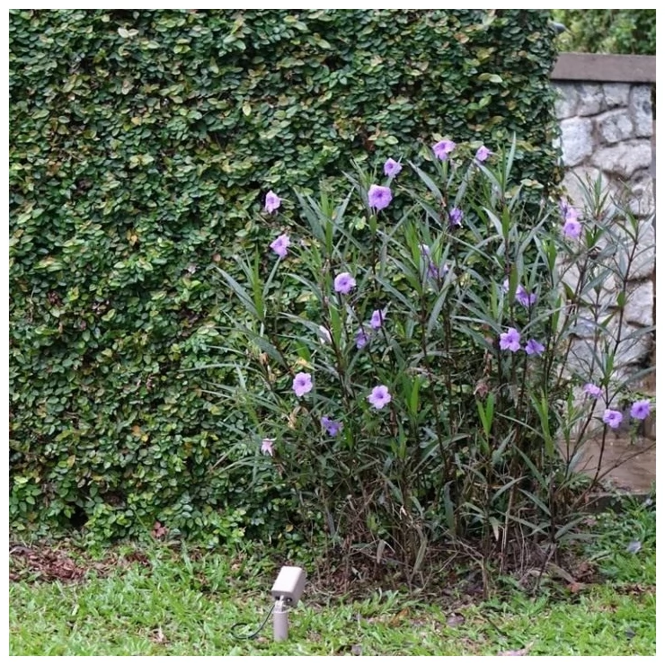 Solar Powered LED Spotlight 3W Outdoor Garden Landscape Decoration