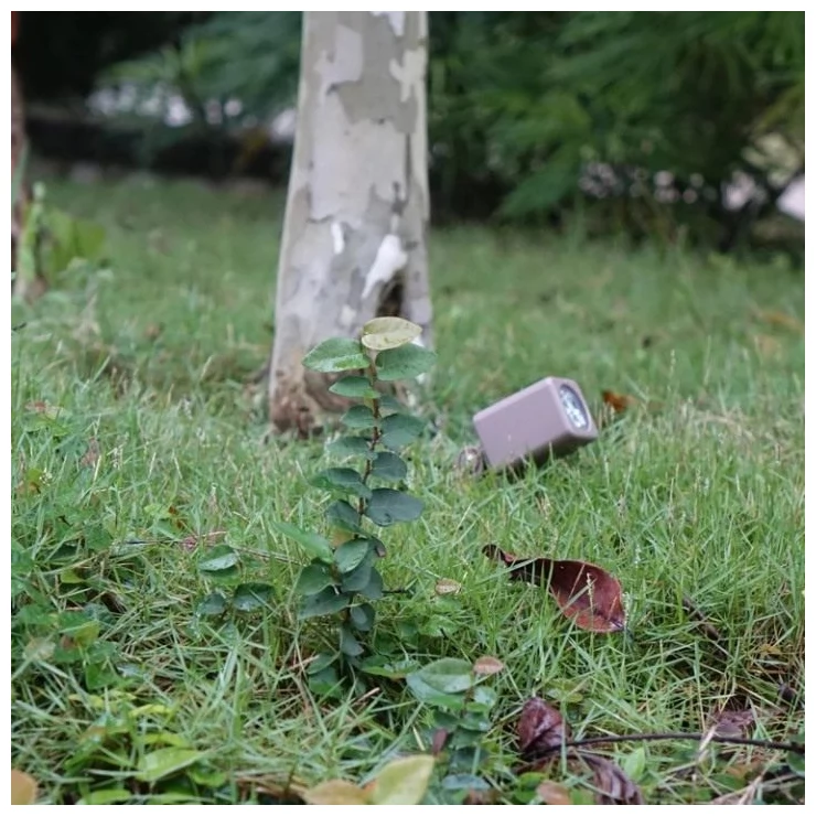 Solar Powered LED Spotlight 3W Outdoor Garden Landscape Decoration