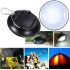Portable hanging LED Solar camping lights